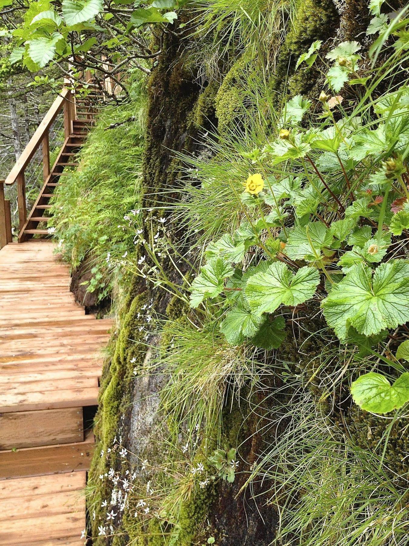 Orca Island Cabins Seward Exterior foto